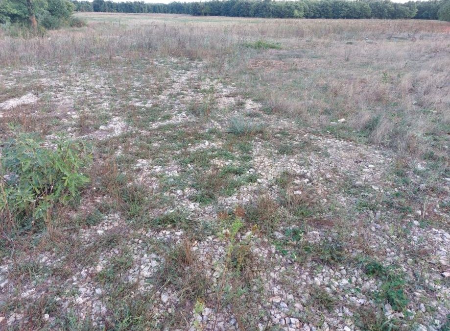 Poljoprivredno zemljište, Okolica Pule, 200.000 m2 – 1.360.000 €