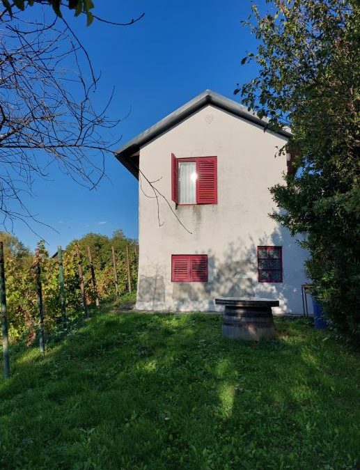 Zagreb – Iznimno povoljno – vikendica za 42 000 EUR!